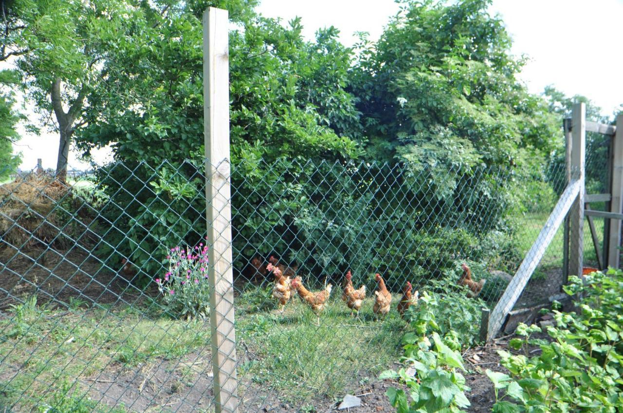 Ferienwohnung Landliebe 65347 Moormerland エクステリア 写真