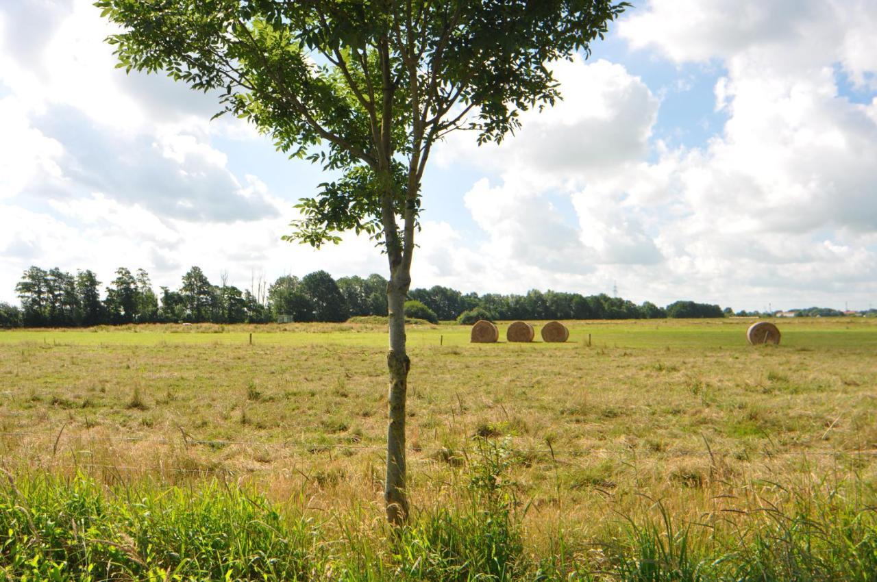 Ferienwohnung Landliebe 65347 Moormerland エクステリア 写真
